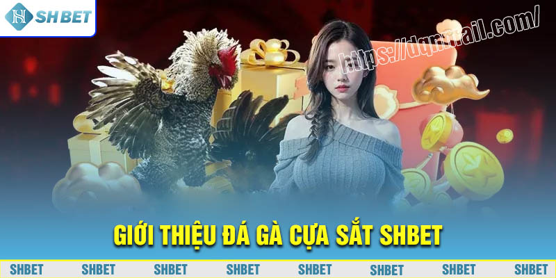 Đôi nét về Đá gà cựa sắt tại SHBET